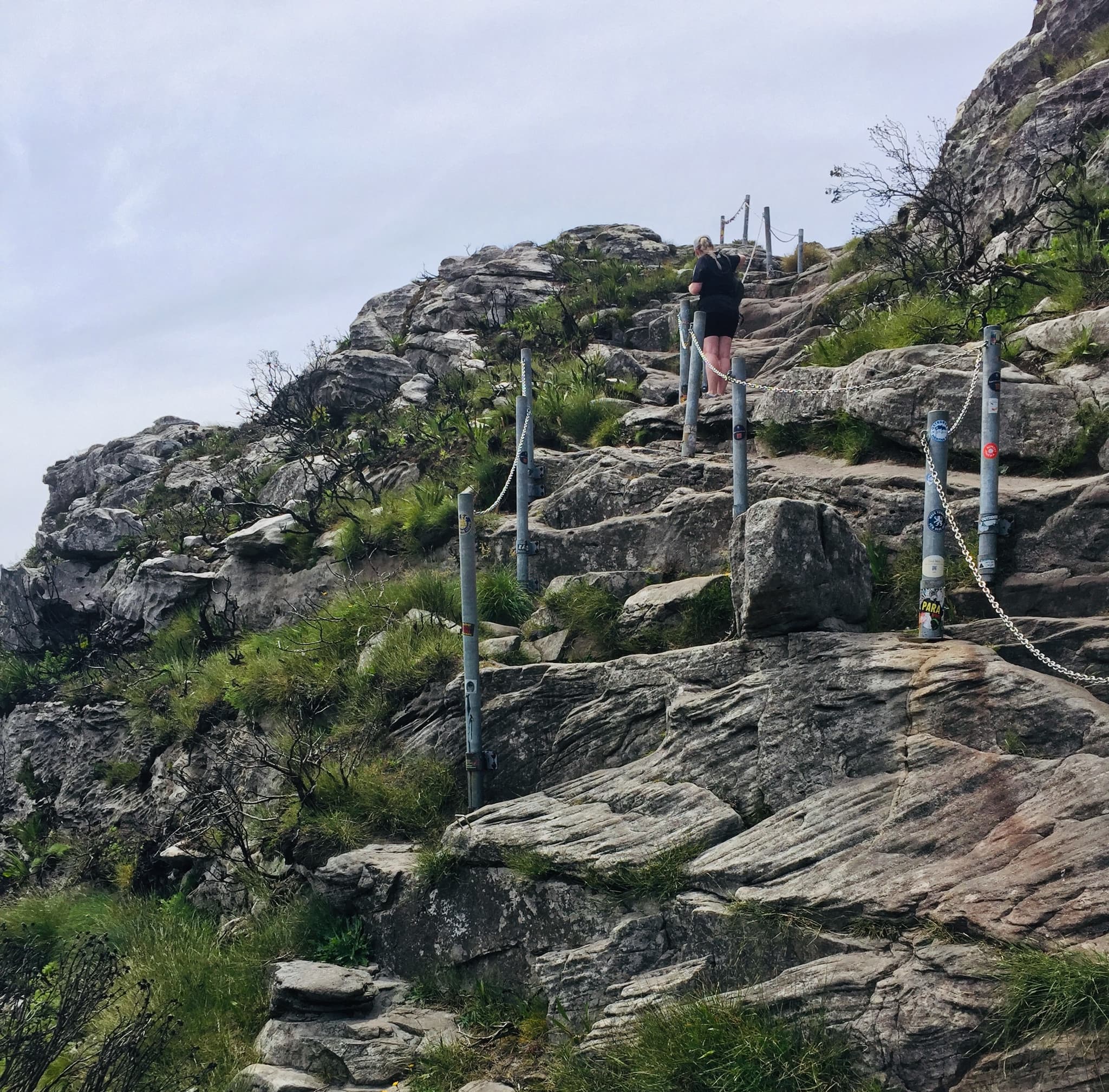 Titans Lab launches Synapse